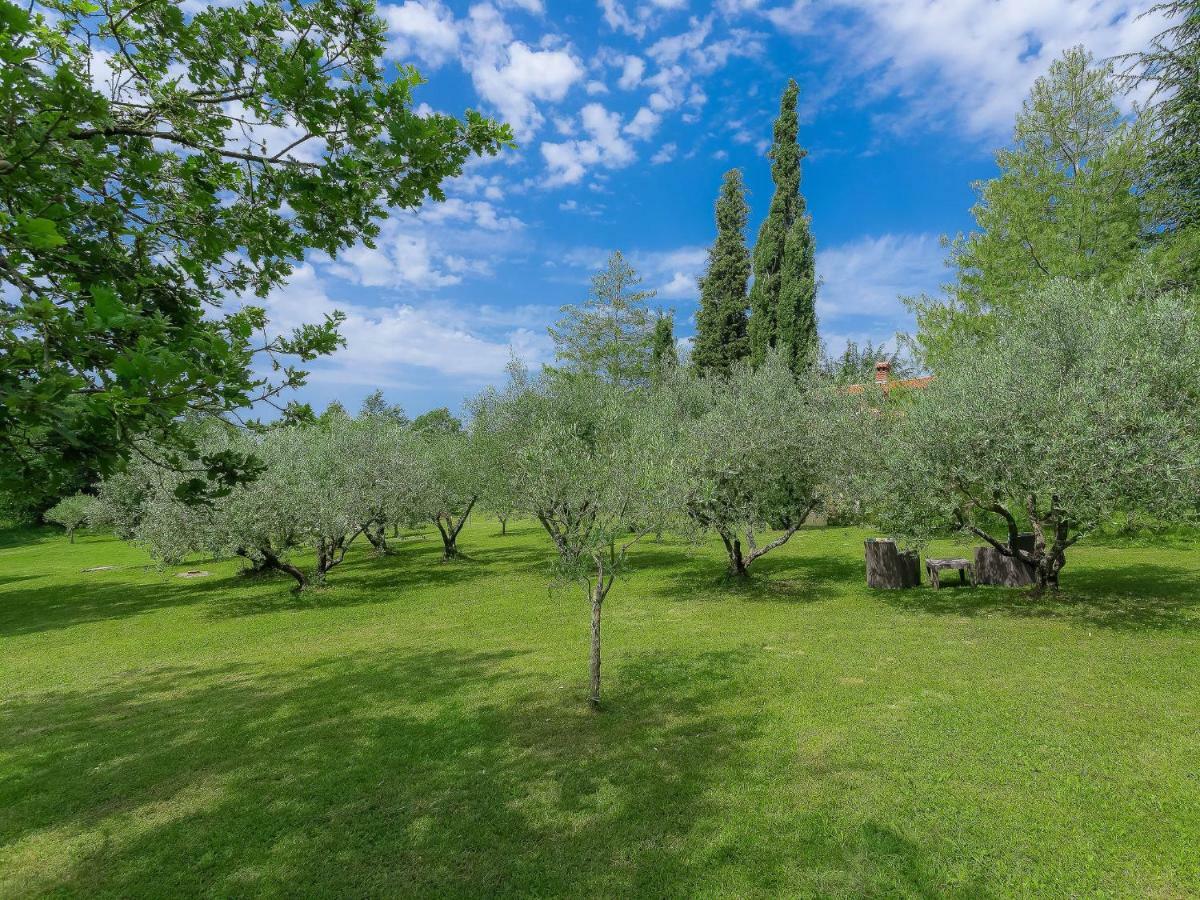Holiday Home Lucija By Interhome Vinež Zewnętrze zdjęcie